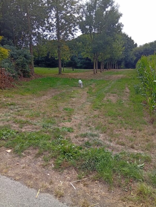 Aire camping-car  Saint-Connan (22480) - Photo 2